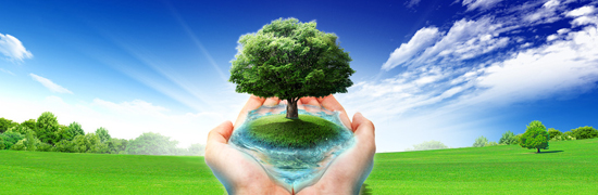 江蘇坤厚環保網站全新上線